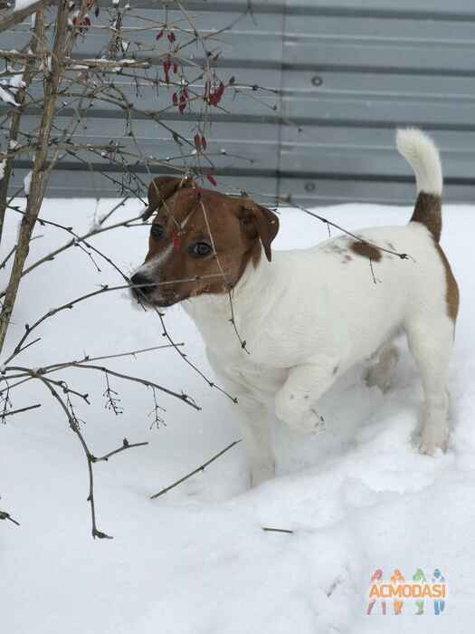 Шон- Кристиан   фото №1700217. Загружено 17 Апреля 2021