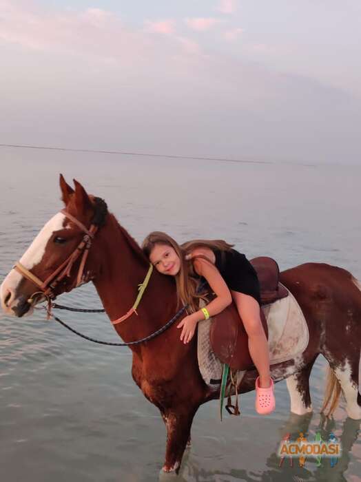 Полина  Шумова фото №1838312. Загружено 19 Января 2023