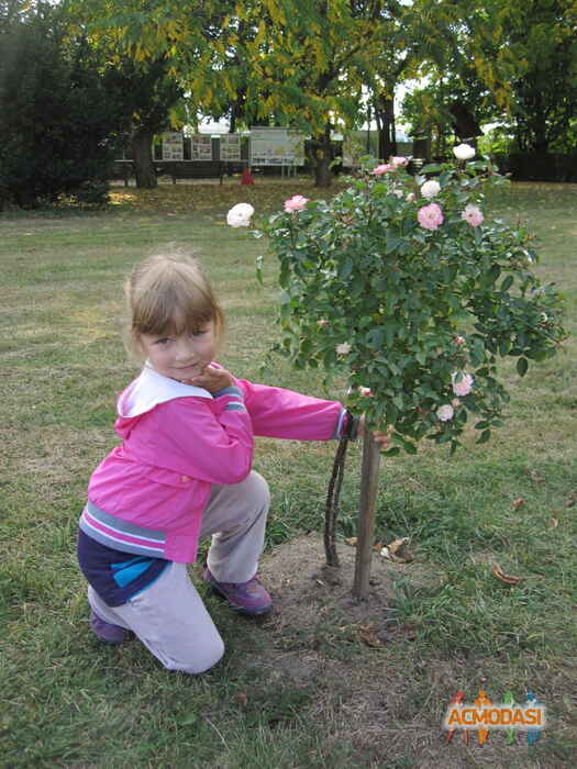Валерия   фото №577247. Загружено 21 Января 2014