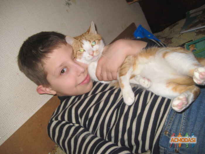 Константин  Панфиленко фото №173677. Загружено 28 Марта 2012