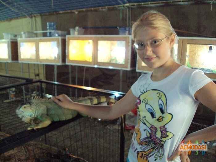 Анна Дмитриевна Белякова фото №585861. Загружено 31 Января 2014