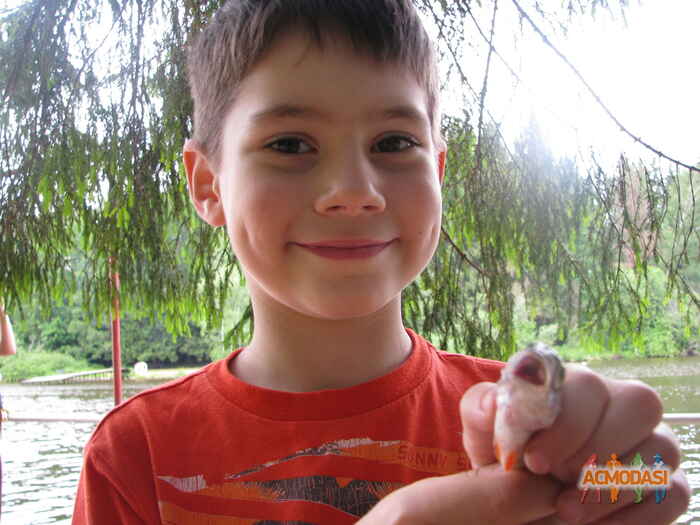 Панченко Александр Никитич фото №140804. Загружено 31 Января 2012