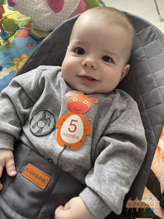 Маркус   фото №1834468. Загружено 23 Декабря 2022