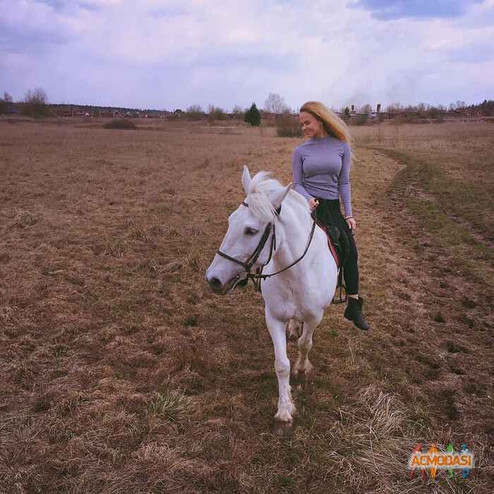 Полина Александровна Малахова фото №1092954. Загружено 04 Октября 2016