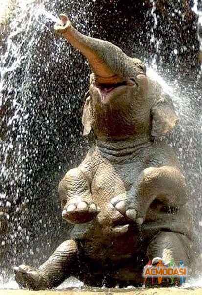 Мария  V фото №951693. Загружено 08 Ноября 2015