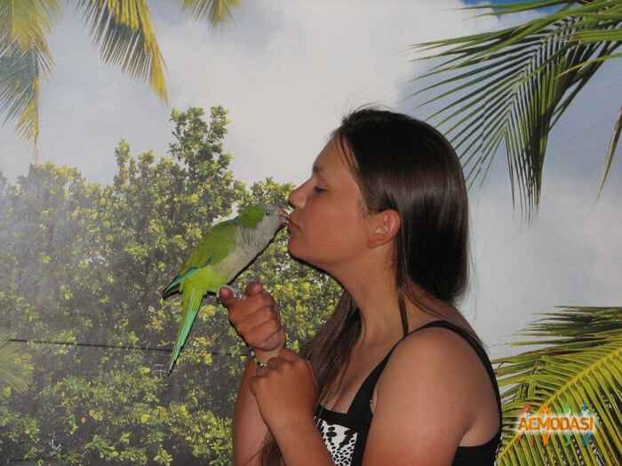 Надежда Андреевна Бернард фото №930681. Загружено 03 Октября 2015