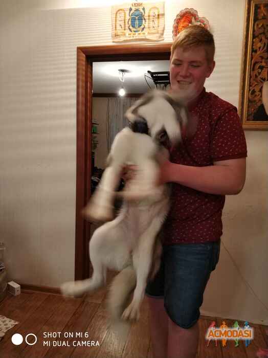 Ирена  Германика фото №1325475. Загружено 25 Мая 2018