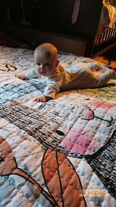 Алиса  У. фото №1940397. Загружено 03 Ноября 2025