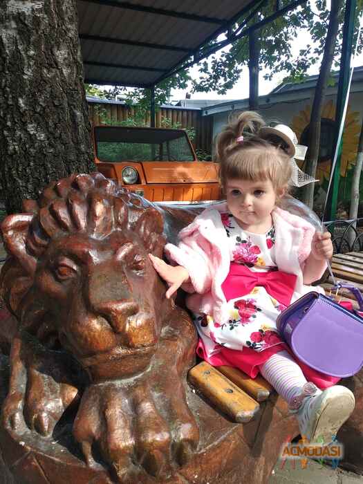 Софья  Хмыз фото №1643753. Загружено 04 Октября 2020