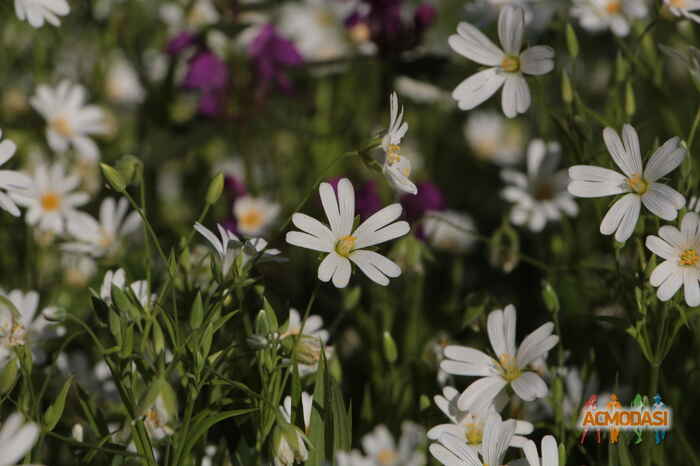 Татьяна   фото №648962. Загружено 07 Мая 2014