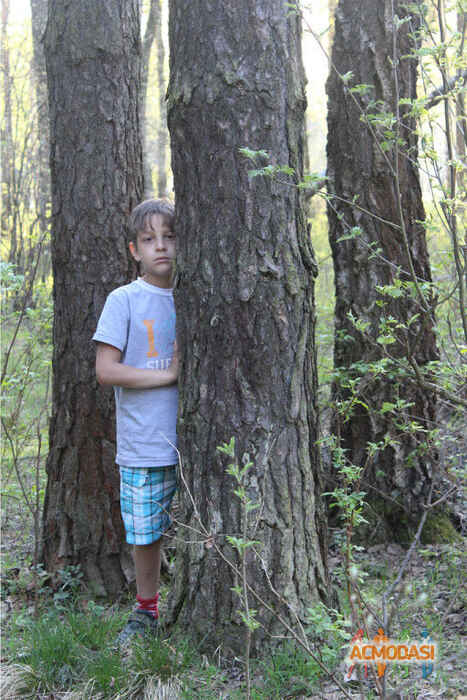 Александр Алексеевич Шамхалов фото №900532. Загружено 06 Августа 2015