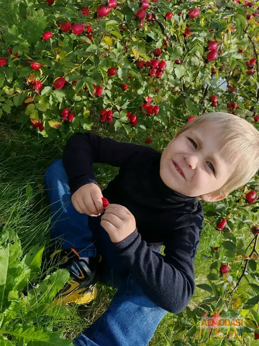 Добрыня Русский Богатырь Актёр кино, модель фото №1940317. Загружено 03 Ноября 2025