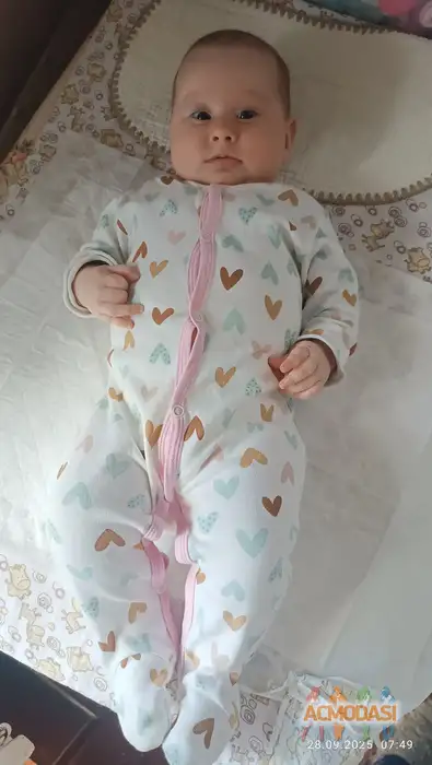 Мирра  Хасхачих фото №1938534. Загружено 13 Октября 2025