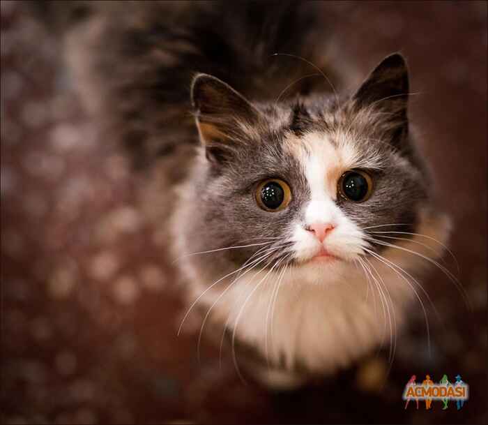 Маргарита Раушановна Ахмедьянова фото №184676. Загружено 15 Апреля 2012