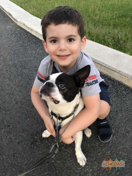 Тигран   фото №1792255. Загружено 25 Апреля 2022