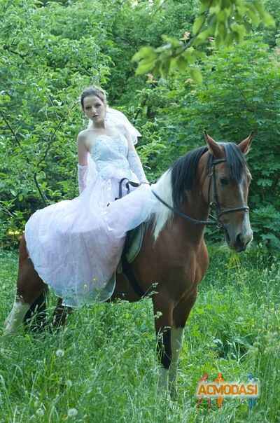 Снижана  Загребельна фото №256252. Загружено 18 Сентября 2012