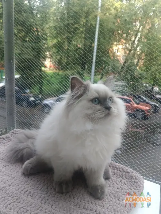 Мария  Семёнова фото №1936524. Загружено 17 Сентября 2025