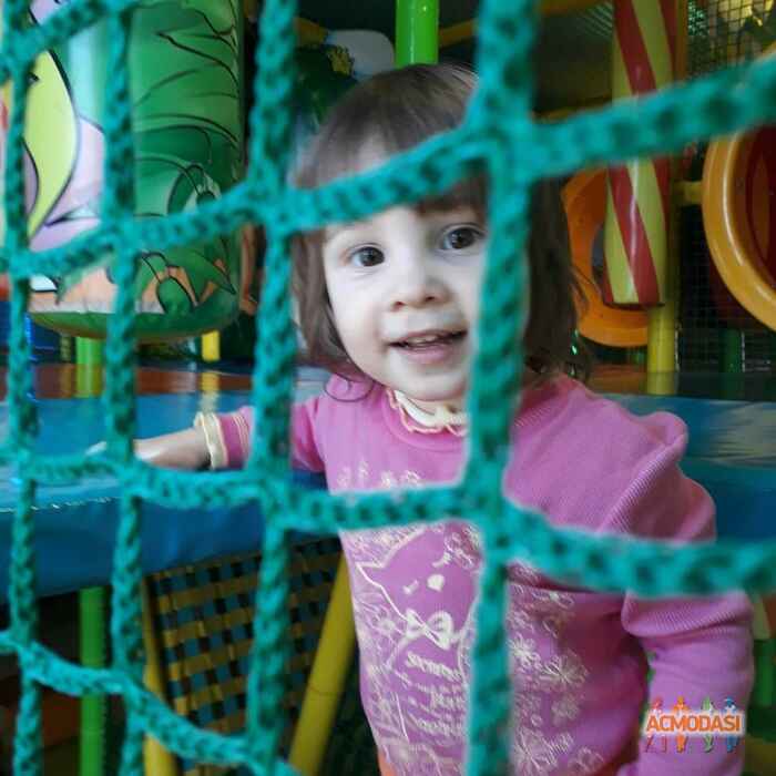 Елена Михайловна Кустанович фото №1170343. Загружено 18 Апреля 2017