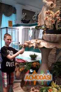 КИРИЛЛ АЛЕКСАНДРОВИЧ СОЛОВЬЁВ фото №1348514. Загружено 23 Июля 2018