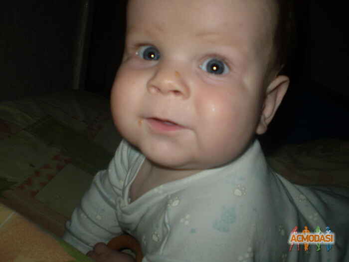 Максим Алексеевичь Шелестюк фото №176765. Загружено 01 Апреля 2012