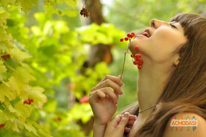 Татьяна  Бессарабова фото №561469. Загружено 03 Января 2014