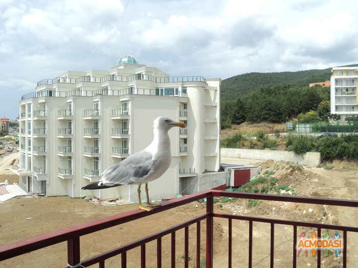 Юлия Дмитриевна Петленко фото №238779. Загружено 15 Августа 2012