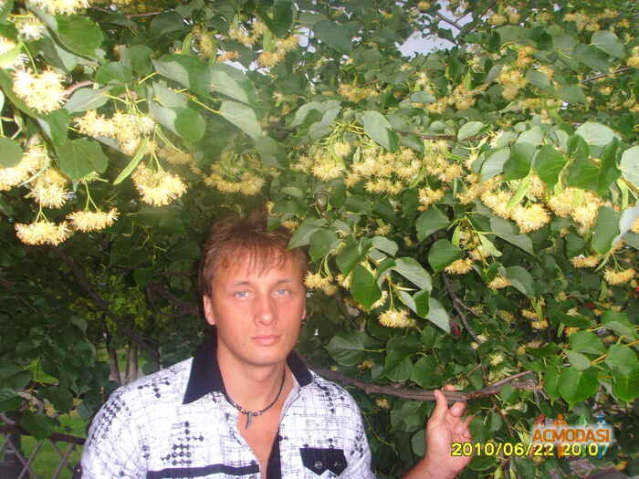 Дмитрий Анатольевич Викентьев фото №451322. Загружено 19 Июля 2013