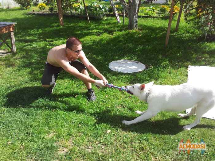 Евгений Максимович Пахомов фото №497541. Загружено 24 Сентября 2013