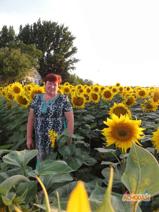 Вера Григорьевна Прусенко фото №686851. Загружено 09 Июля 2014