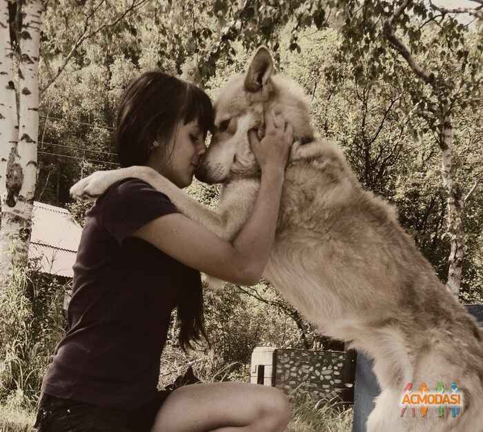 Анна  Перцева фото №761385. Загружено 28 Октября 2014