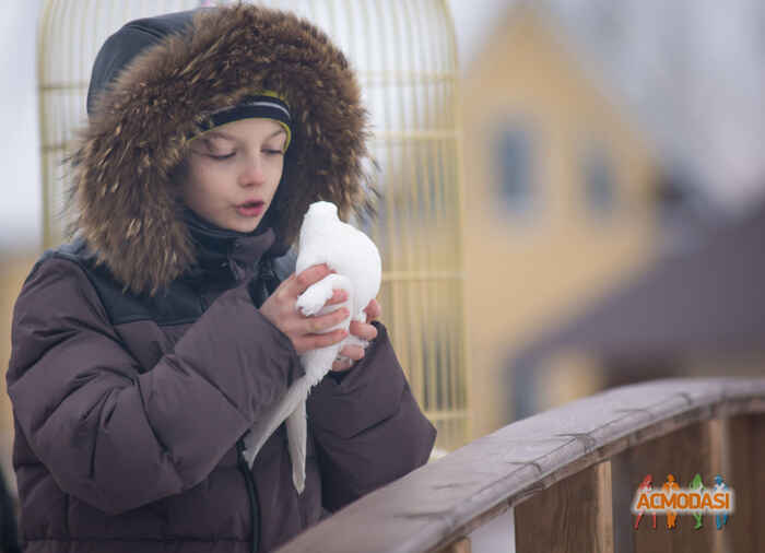 Тимофей   фото №875435. Загружено 18 Июня 2015