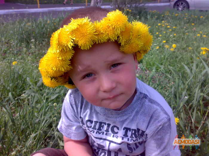 Татьяна Ивановна Литвиненко,Киселев фото №408756. Загружено 15 Мая 2013