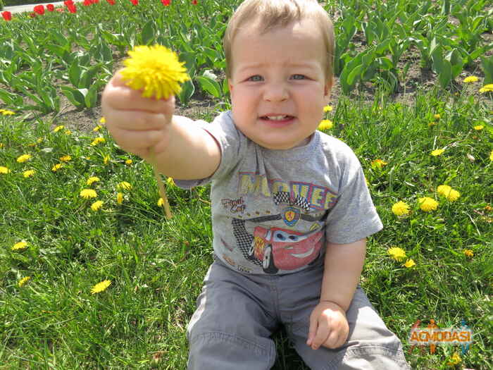 Владислав   фото №864160. Загружено 23 Мая 2015