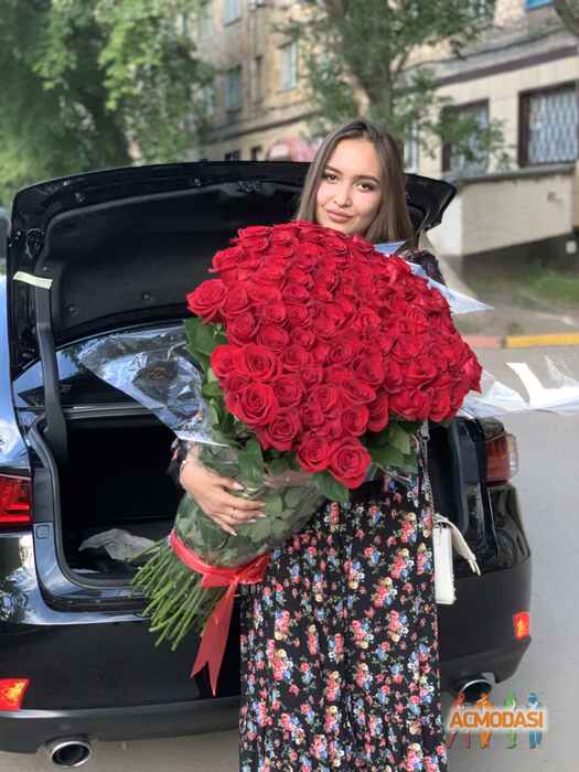 Рамина  Джантелова фото №1572448. Загружено 17 Февраля 2020