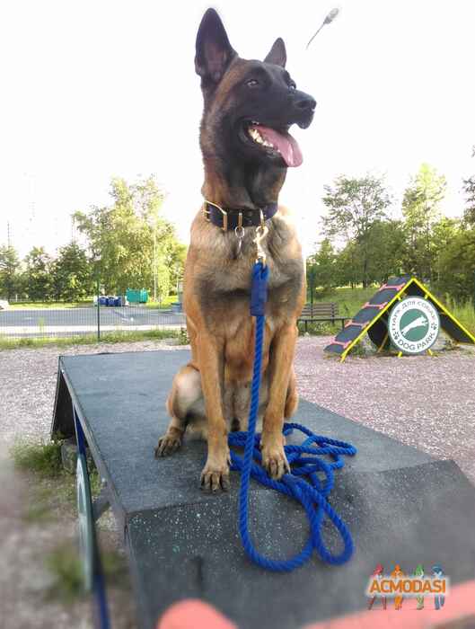 Джери Ли   фото №1507481. Загружено 04 Сентября 2019