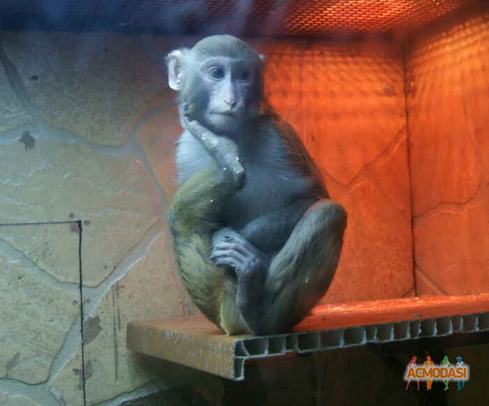 Denis   фото №195069. Загружено 07 Мая 2012