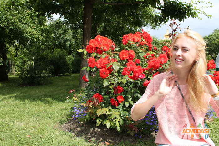 Елена Николаевна Бейзик фото №929412. Загружено 01 Октября 2015