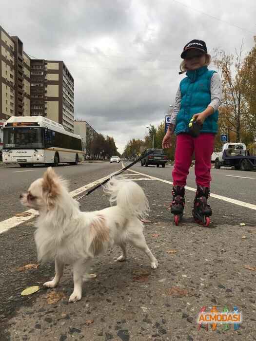 Александра Романовна Малоева фото №1581142. Загружено 10 Марта 2020