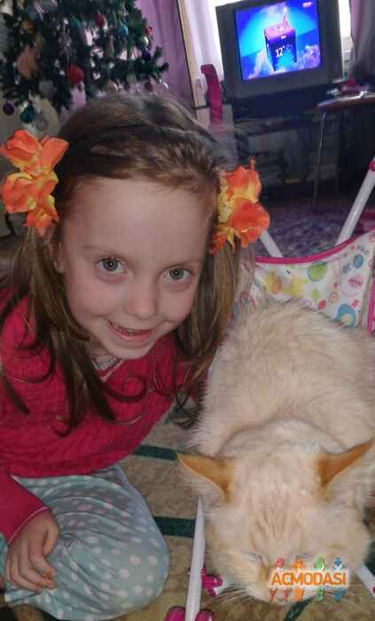 Мария Александровна Богданова фото №1423879. Загружено 12 Февраля 2019