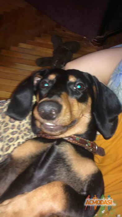 Ирина  Викторовна фото №644458. Загружено 29 Апреля 2014