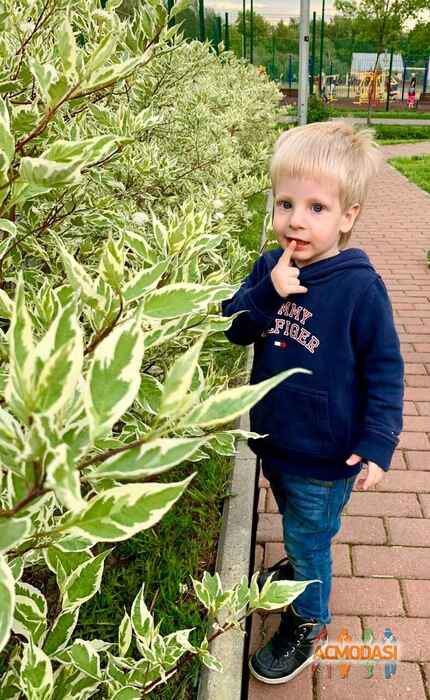 Федор Артемович Гавришев фото №1488795. Загружено 21 Июля 2019