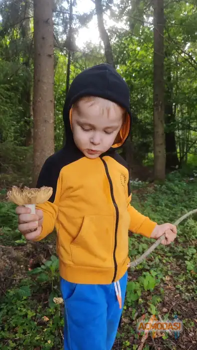 Добрыня Русский Богатырь Актёр кино, модель фото №1940285. Загружено 03 Ноября 2025