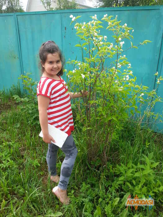 Диана Рашидовна Гафарова фото №1045201. Загружено 10 Июня 2016