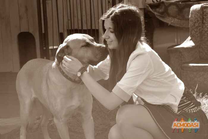 Светлана Петровна Романенко фото №428309. Загружено 13 Июня 2013