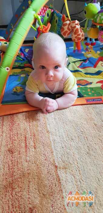 Алиса Дмитриевна Верещагина фото №1520738. Загружено 05 Октября 2019