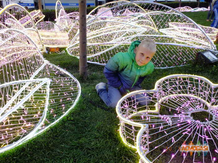 Владимир Владимирович Юдин фото №1176767. Загружено 07 Мая 2017