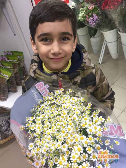 Тимур   фото №1439331. Загружено 26 Марта 2019