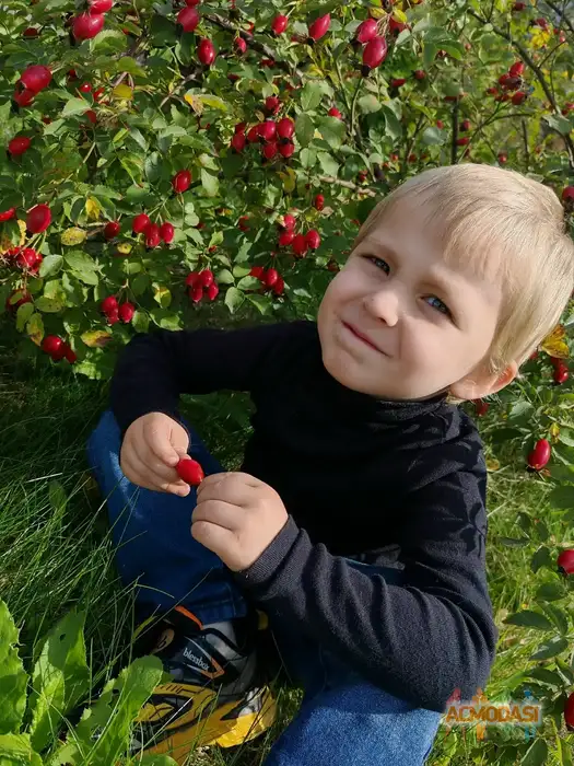 Добрыня Русский Богатырь Актёр кино, модель фото №1940322. Загружено 03 Ноября 2025