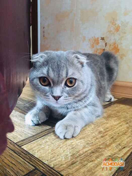Сергей  Златов фото №1482687. Загружено 07 Июля 2019