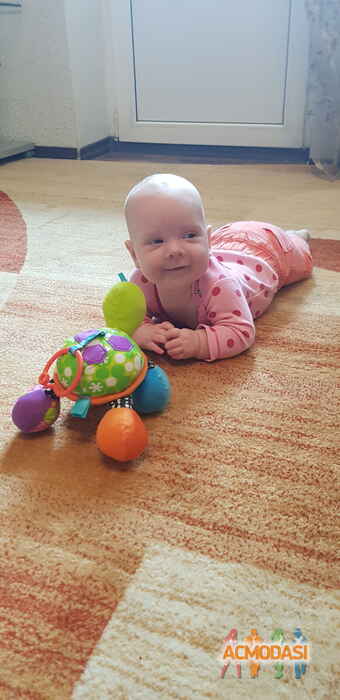 Алиса Дмитриевна Верещагина фото №1520736. Загружено 05 Октября 2019